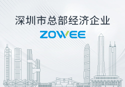 Shenzhen headquarters economic enterprise